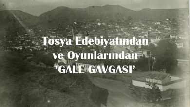 tosya-gale-gavgasi-oyunu