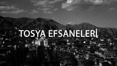 tosyaefsaneleri