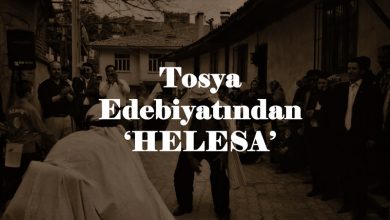 tosya-helesa