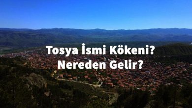tosya-ismi-nereden-gelir