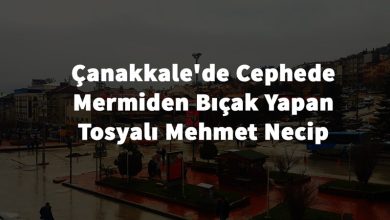 tosyali-mehmet-nacip-mermiden-bicak